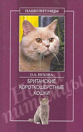 Британские короткошерстные кошки