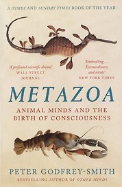 Metazoa: Animal Minds and the Birth of Consciousness