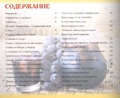 Заготовки из слив и винограда - 1