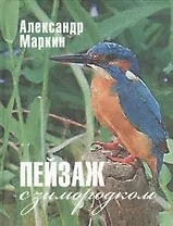 Пейзаж с зимородком