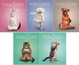 Тетрадь 40л кл. "Yoga Animals" двойн.УФ выб.лак, ассорти, Академия Групп