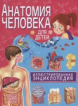 Анатомия человека для детей. Иллюстрированная энциклопедия