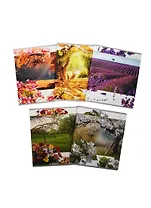 Тетрадь 48л лин. "Дивный сад" офсет, ламинация, ассорти, Полиграфика