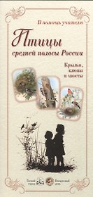 Птицы средней полосы России. Крылья, клювы и хвосты