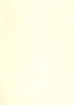 Бумага для пастели А4 "Mi-Teintes" 160г/м2 №407 кремовый, Canson