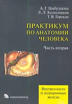 Практикум по анатомии человека. В четырех частях. Часть вторая. Внутренности и эндокринные железы