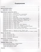 Обучение грамоте 1 класс. Тетрадь для проверочных работ - 1