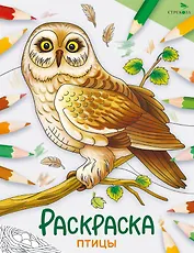 Птицы. Окружающий мир. Раскраска