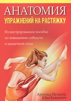 Анатомия упражнений на растяжку