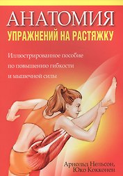 Анатомия упражнений на растяжку