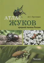 Атлас жуков средней полосы России