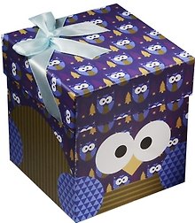 Коробка подарочная "Совы.Owls"