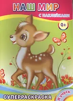 Суперраскраска с наклейками. Наш мир