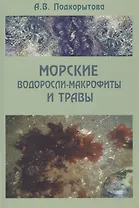 Морские водоросли-макрофиты и травы