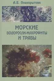 Морские водоросли-макрофиты и травы