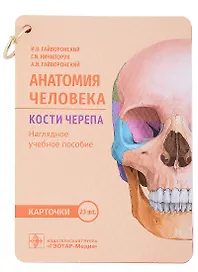 Анатомия человека. Кости черепа. Карточки: наглядное учебное пособие