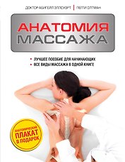 Анатомия массажа