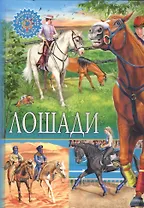 Лошади