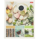 Тетрадь в клетку Hatber, "Нежные моменты", А5, 60 листов, в ассортименте