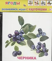 Обучающие карточки Ягоды (упаковка) (978-5-91282-662-7)