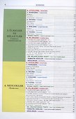 Современный турецкий язык. Практический курс. Элементарный уровень (A1). Три в одном: учебник+рабочая тетрадь+словарь - 2