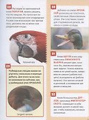 Птицы. Энциклопедия российского школьника - 2