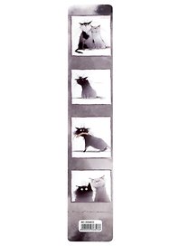 Закладка для книг «Любимые коты», пластик, Be positive