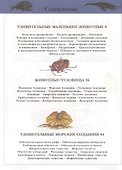 Большая детская энциклопедия - 1