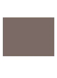Бумага для пастели 50*65 "Mi-Teintes" 160г/м2 №501 табак, Canson