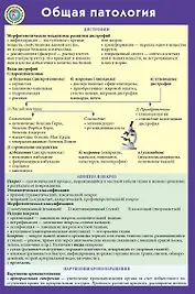 Общая патология
