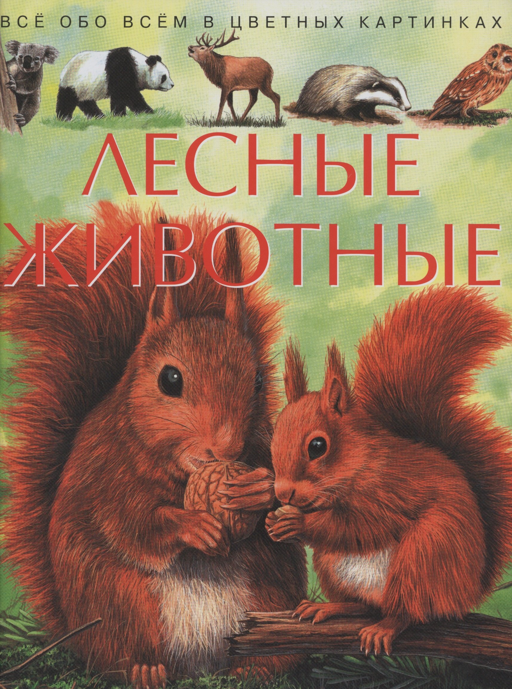 

Лесные животные. Все обо всем в цветных картинках