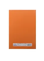 Бумага для пастели А4 "Mi-Teintes" 160г/м2 №453 оранж., Canson