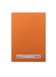 Бумага для пастели А4 "Mi-Teintes" 160г/м2 №453 оранж., Canson