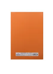 Бумага для пастели А4 "Mi-Teintes" 160г/м2 №453 оранж., Canson
