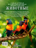 Животные - 1