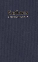Библия (1179)043DC TI с коммен.(син.)