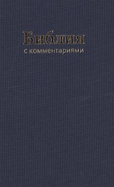 Библия (1179)043DC TI с коммен.(син.)