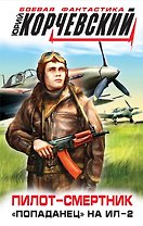 Пилот-смертник. "Попаданец" на Ил-2