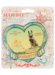 ГС Магнит Тольятти (1067297)