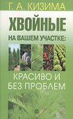 Хвойные на вашем участке: красиво и без проблем - 0