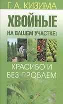 Хвойные на вашем участке: красиво и без проблем