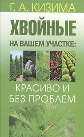 Хвойные на вашем участке: красиво и без проблем