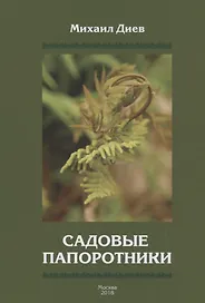 Садовые папоротники