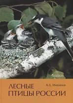 Лесные птицы России