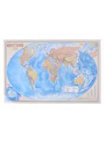 Политическая карта мира. Масштаб (1: 55 000 000)