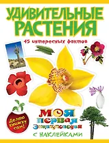 Удивительные растения