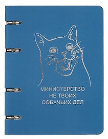 Тетрадь на кольцах «ColourMania. Дизайн 23» 100 листов в клетку, А5, сменный блок - Listoff