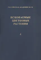 Ископаемые цветковые растения России и сопредельных государств. Том 4