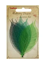 Скелетированные листочки из каучукового дерева, набор 8 шт, оттенки зеленого