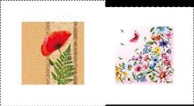 Салфетки для декупажа Мак/Лето (039) (2 шт) (33х33см) (упаковка)